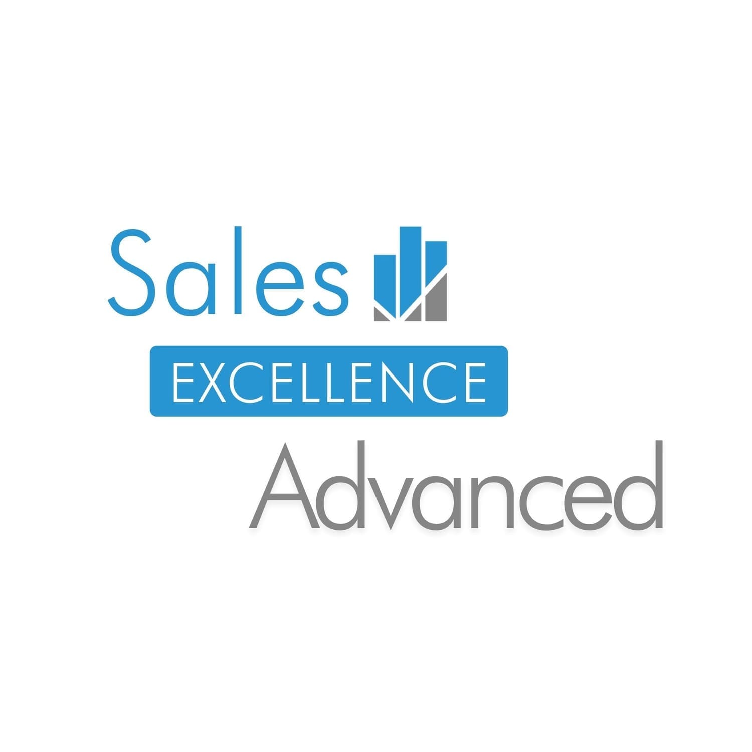 Leadership Excellence Advanced