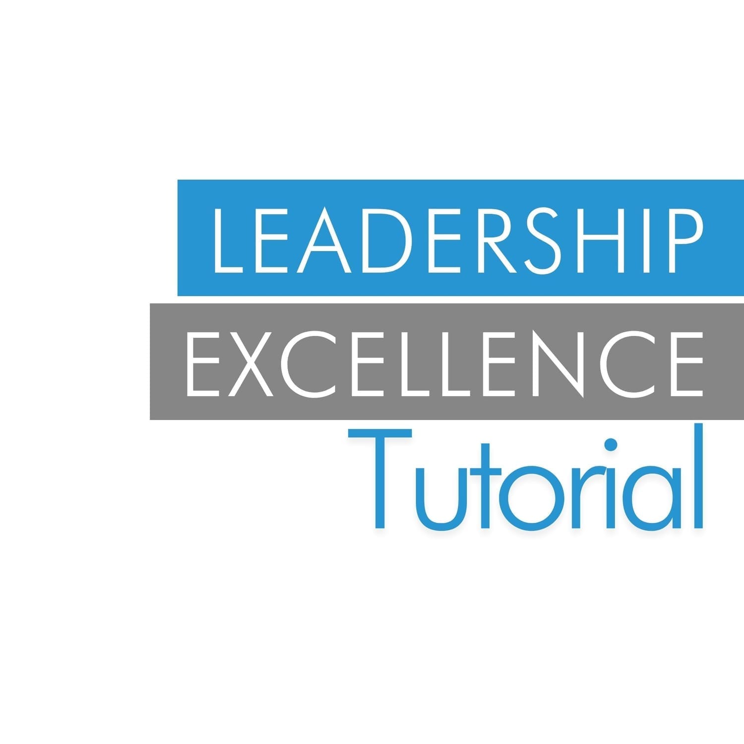 Leadership Excellence Tutorial