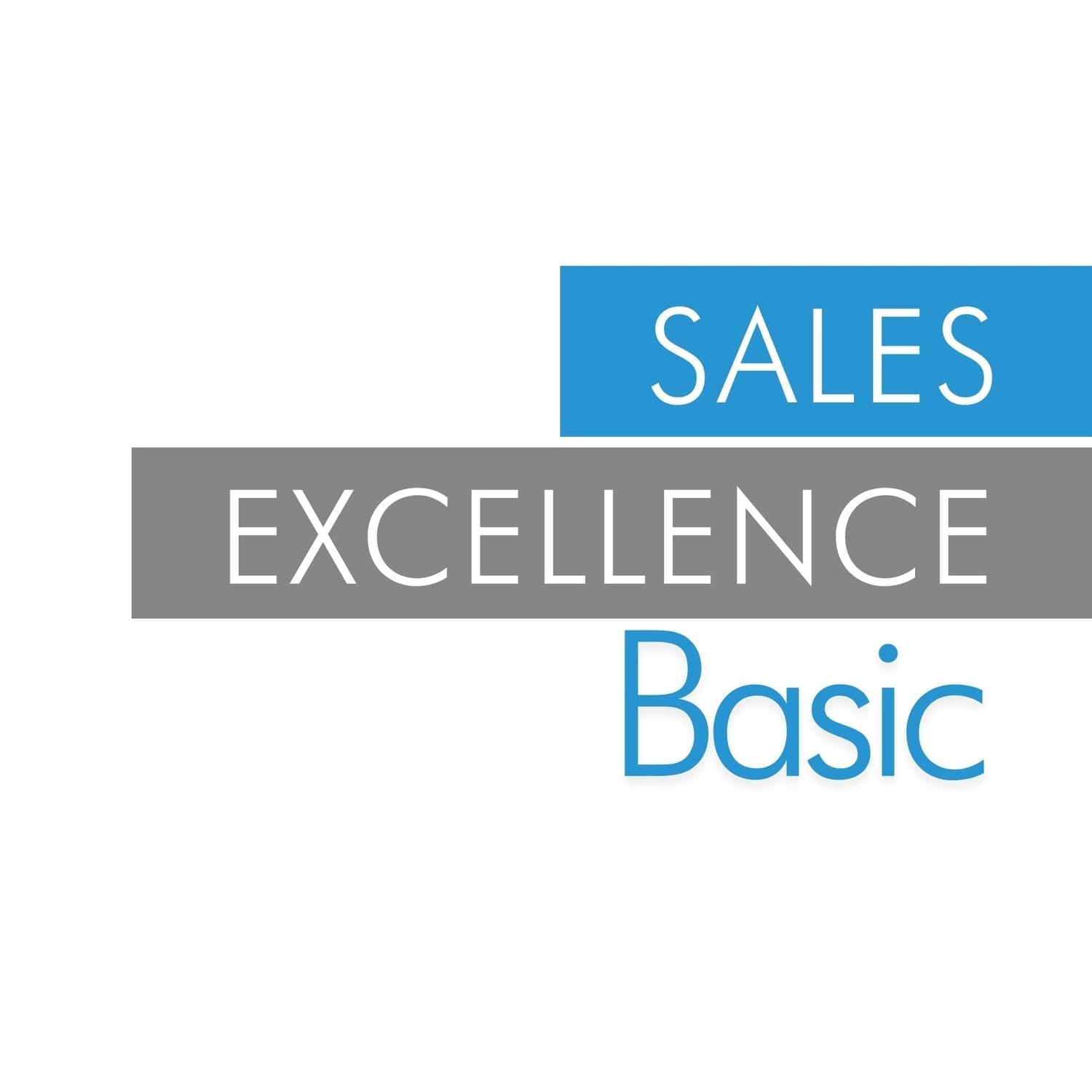 Leadership Excellence Basic