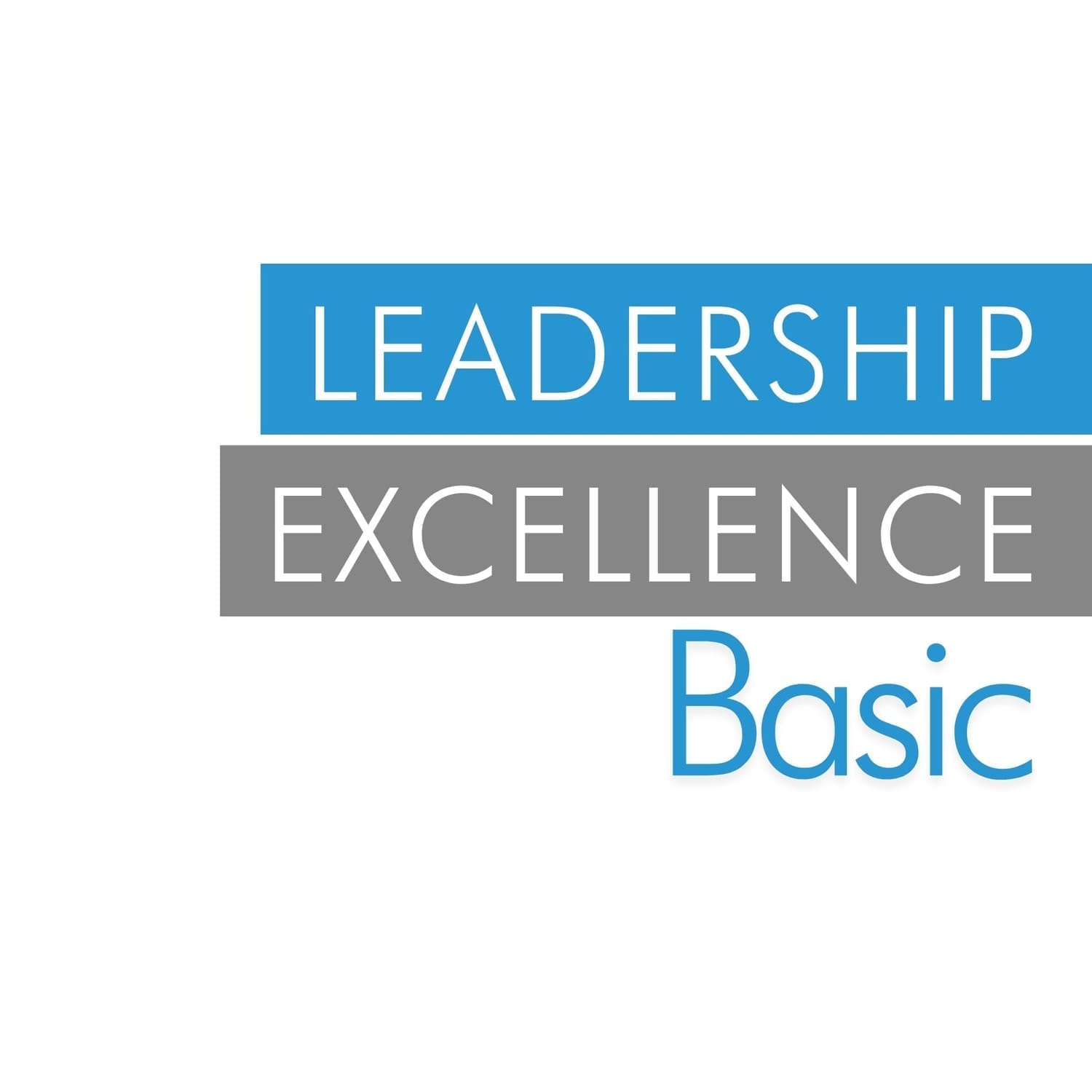 Leadership Excellence Basic