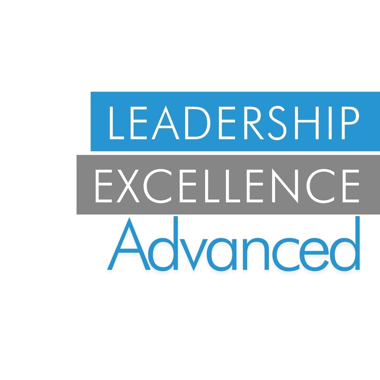 Leadership Excellence Advanced