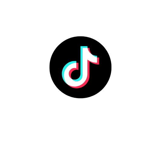 TikTok SapereLavoro