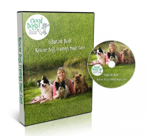 Rescue Training Made Easy DVD by Sharon Bolt – kind step-by-step dog training for rescue dogs