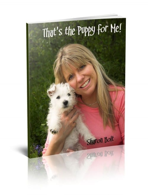 That’s the Puppy for Me puppy training eBook by Sharon Bolt – toilet training, biting, chewing, and raising a confident puppy