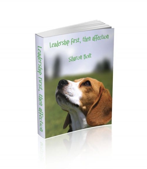 Leadership First, Then Affection dog training eBook by Sharon Bolt – stop barking, pulling, and aggression with calm, kind methods