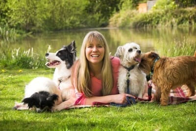 Become a Dog Trainer PLR course — start a professional dog training career with ready-made content