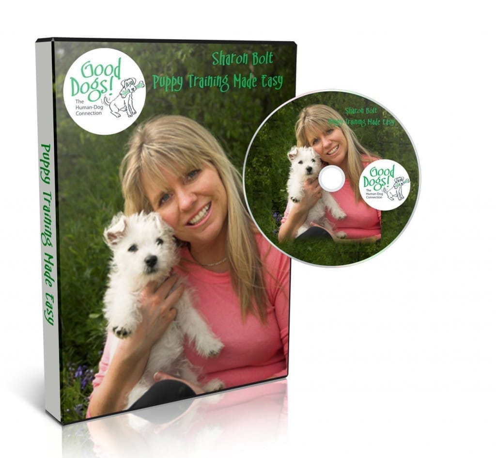 Puppy Training Made Easy DVD by Sharon Bolt – gentle puppy training for toilet training, biting and socialisation