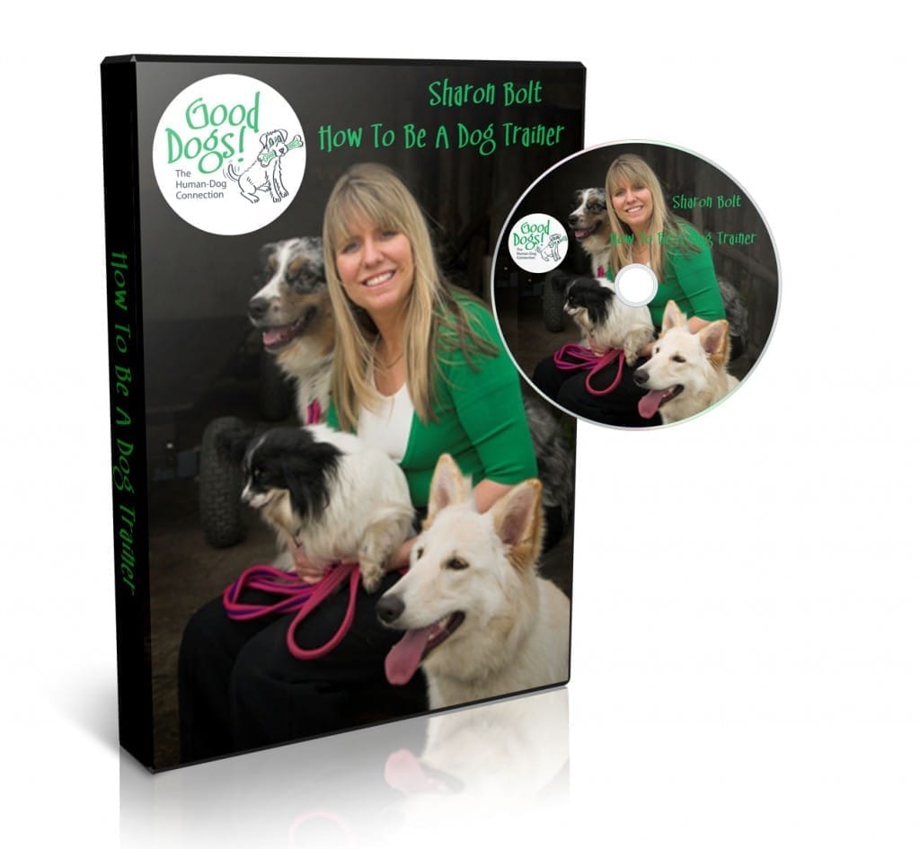 How to Be a Dog Trainer DVD by Sharon Bolt – professional dog trainer career and business insights