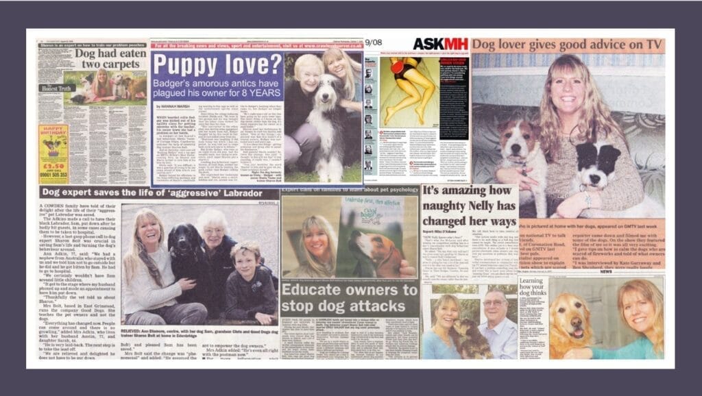 Local and regional press features — Sharon Bolt’s dog training advice across Sussex and the South East