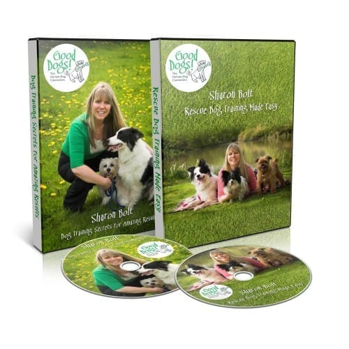 Dog training DVD set – Puppy Training and Rescue Training DVDs by Sharon Bolt