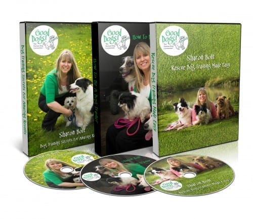 Dog training DVD set – Puppy Training, Rescue Training, and Professional Dog Trainer DVDs by Sharon Bolt