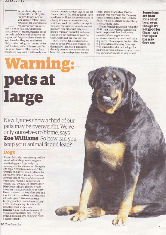 Sharon Bolt expert advice featured in The Guardian on overweight dogs