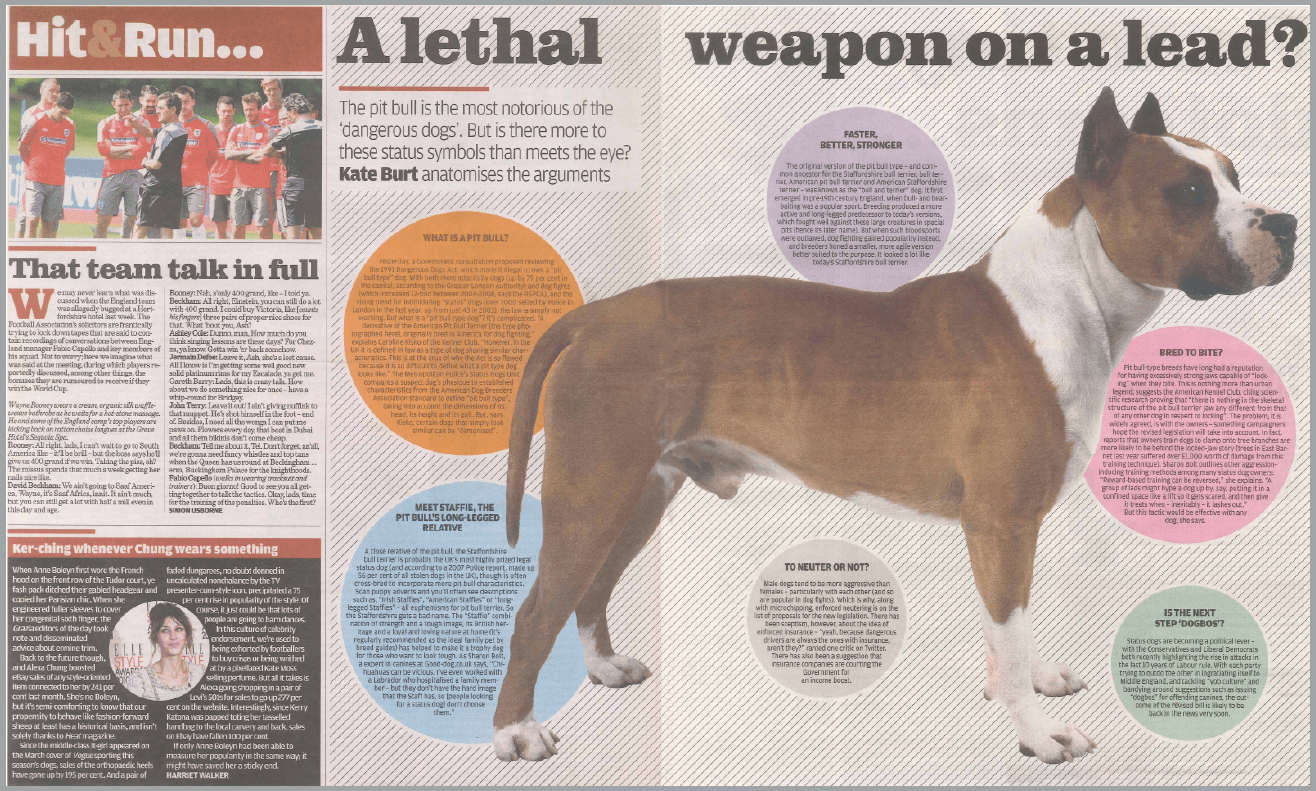 Sharon Bolt dog behaviour feature in The Independent