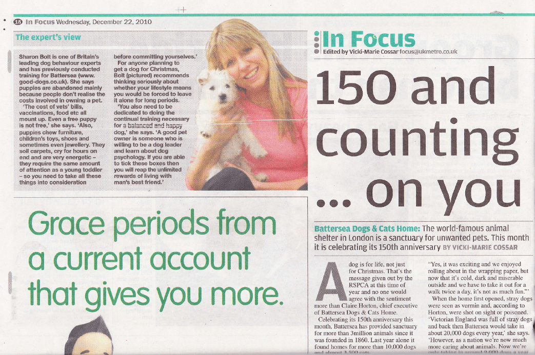 Sharon Bolt expert dog and puppy training guidance in The Metro