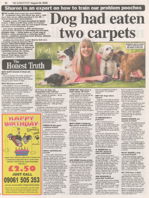 Sharon Bolt dog training interview featured in The Sunday Post