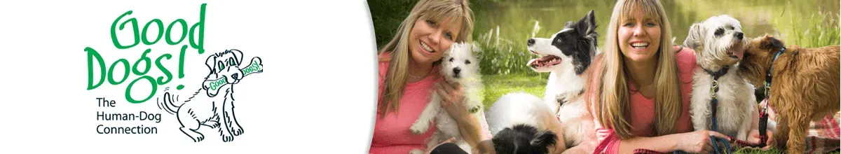 Sharon Bolt celebrity dog trainer with dogs — trusted by BBC, ITV & Channel 5, teaching online dog training courses, DVDs, eBooks & PLR content