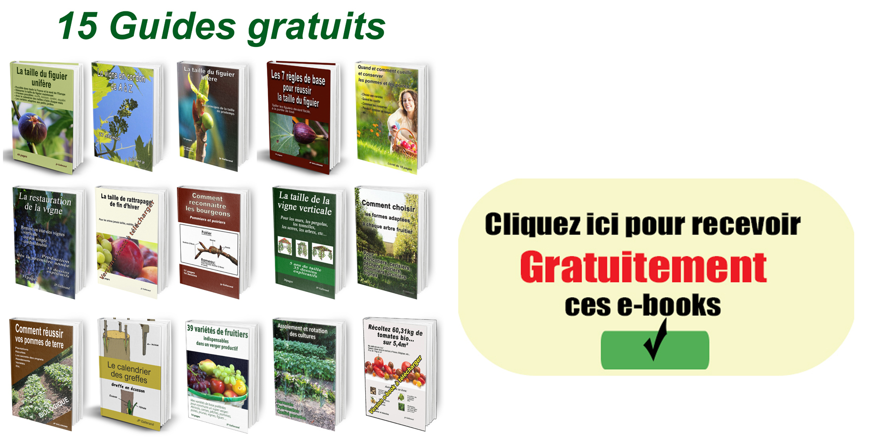 15 EBOOKS GRATUITS