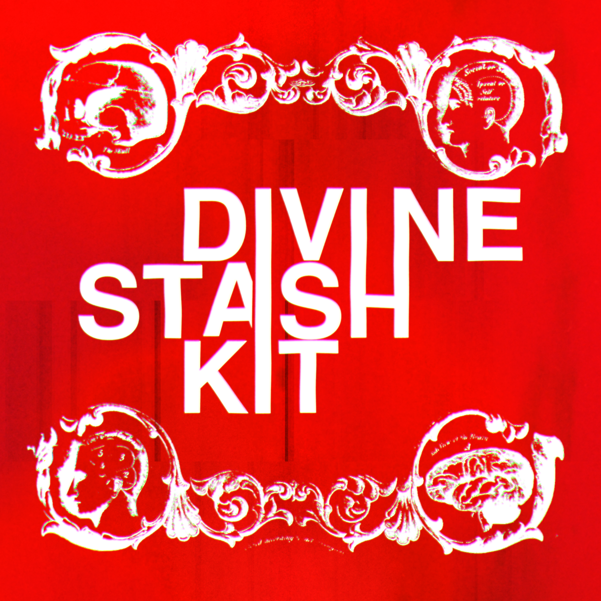 divine stash kit cover