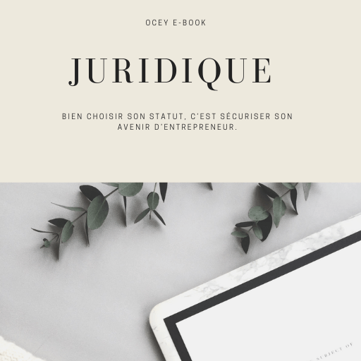 E-book: Comment choisir son statut juridique