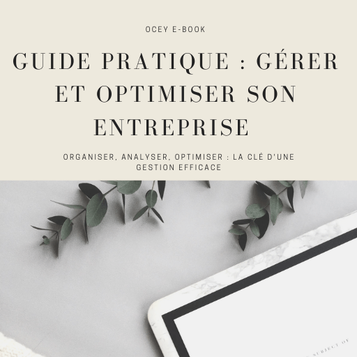 E-book :Guide pratique : gérer et optimiser son entreprise