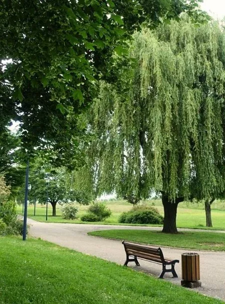 Espace vert et détente au parc Richard Pouille de Vandœuvre-lès-Nancy, Meurthe-et-Moselle