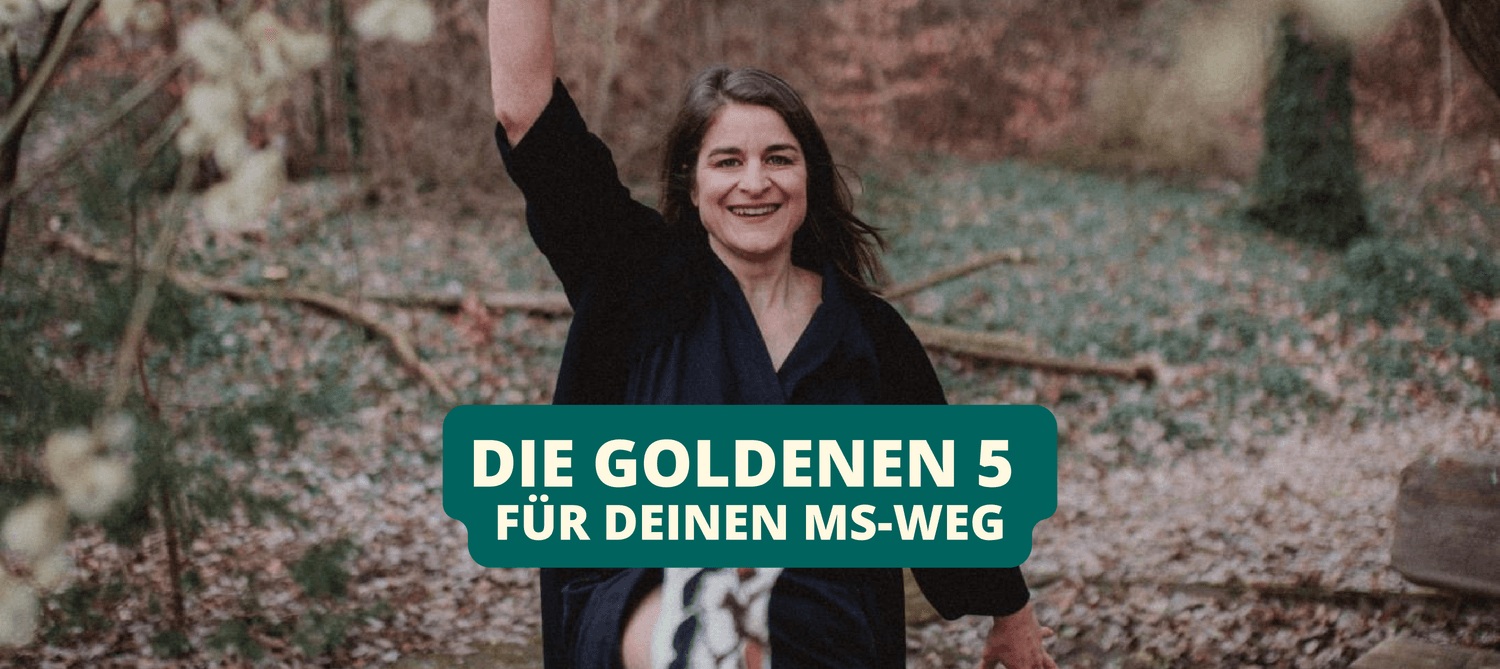 Bannerbild