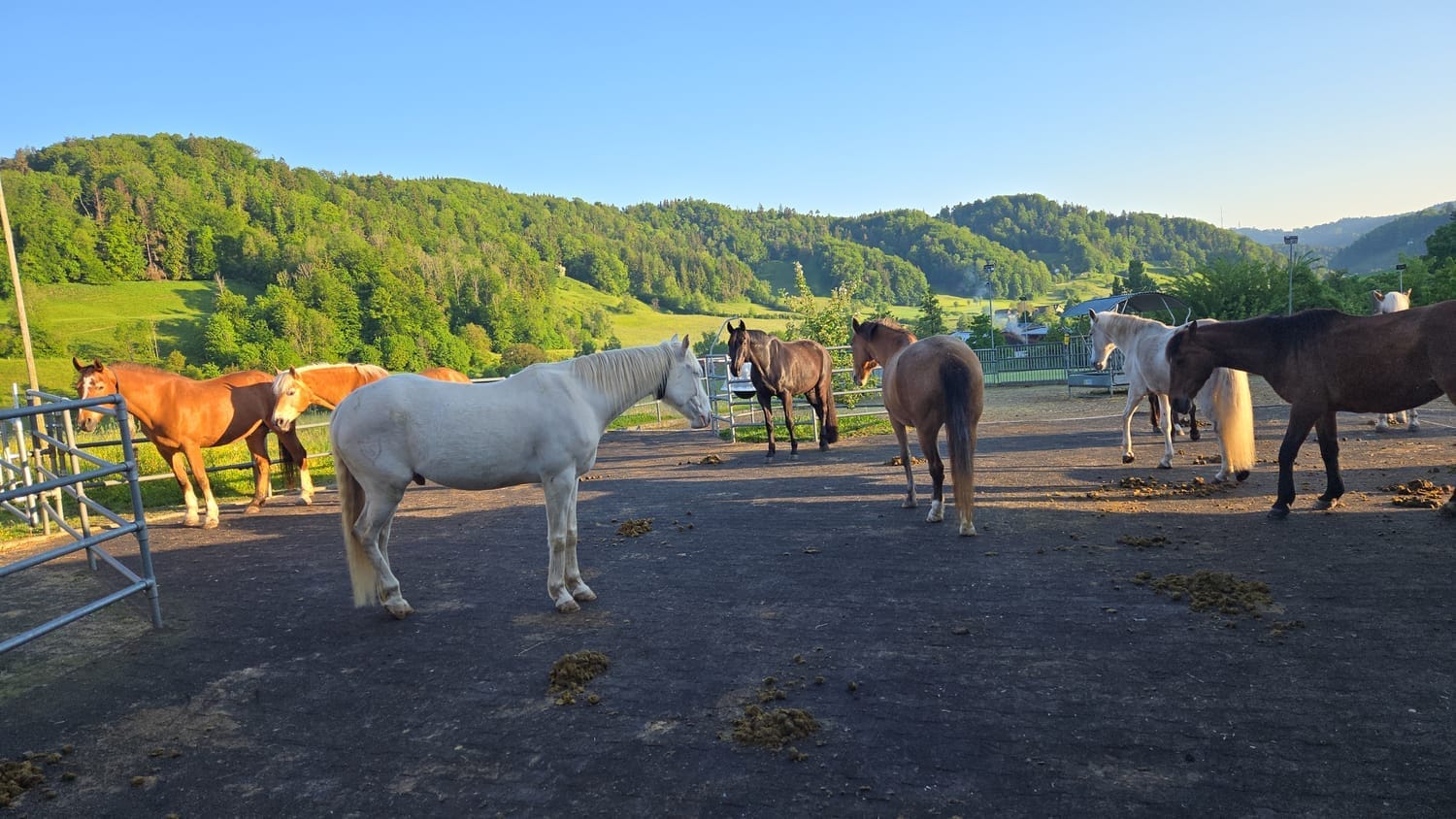 bei schönem Wetter