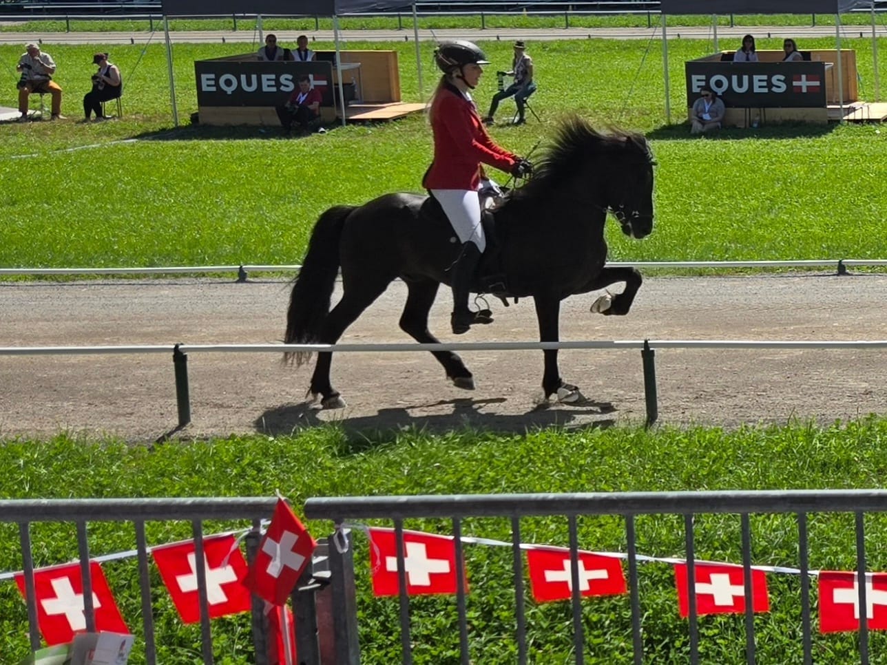 Isländerpferde-WM in Birmenstorf