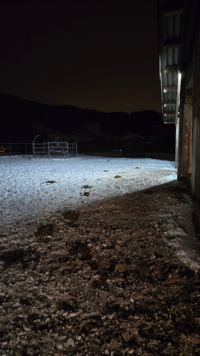 so sieht's draussen aus, wenn Antje in den Stall kommt