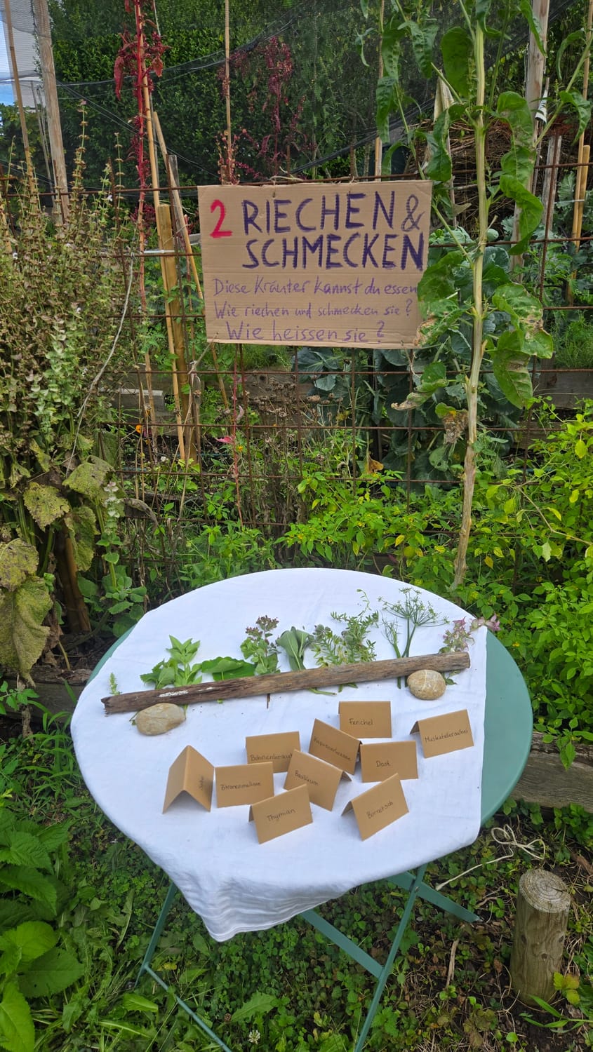 Station für Riechen und Schmecken