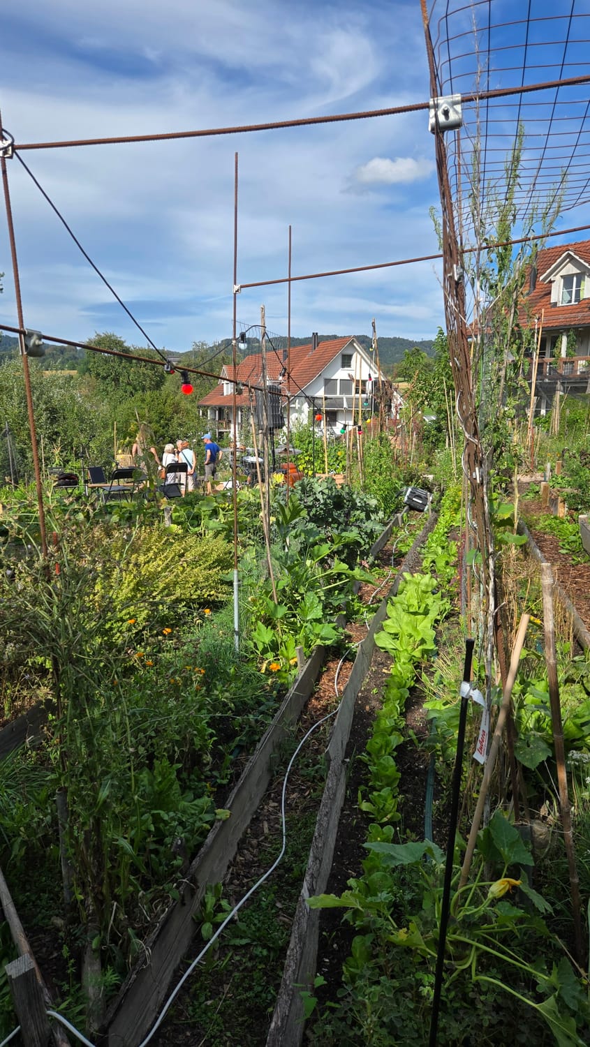 der Permagarten