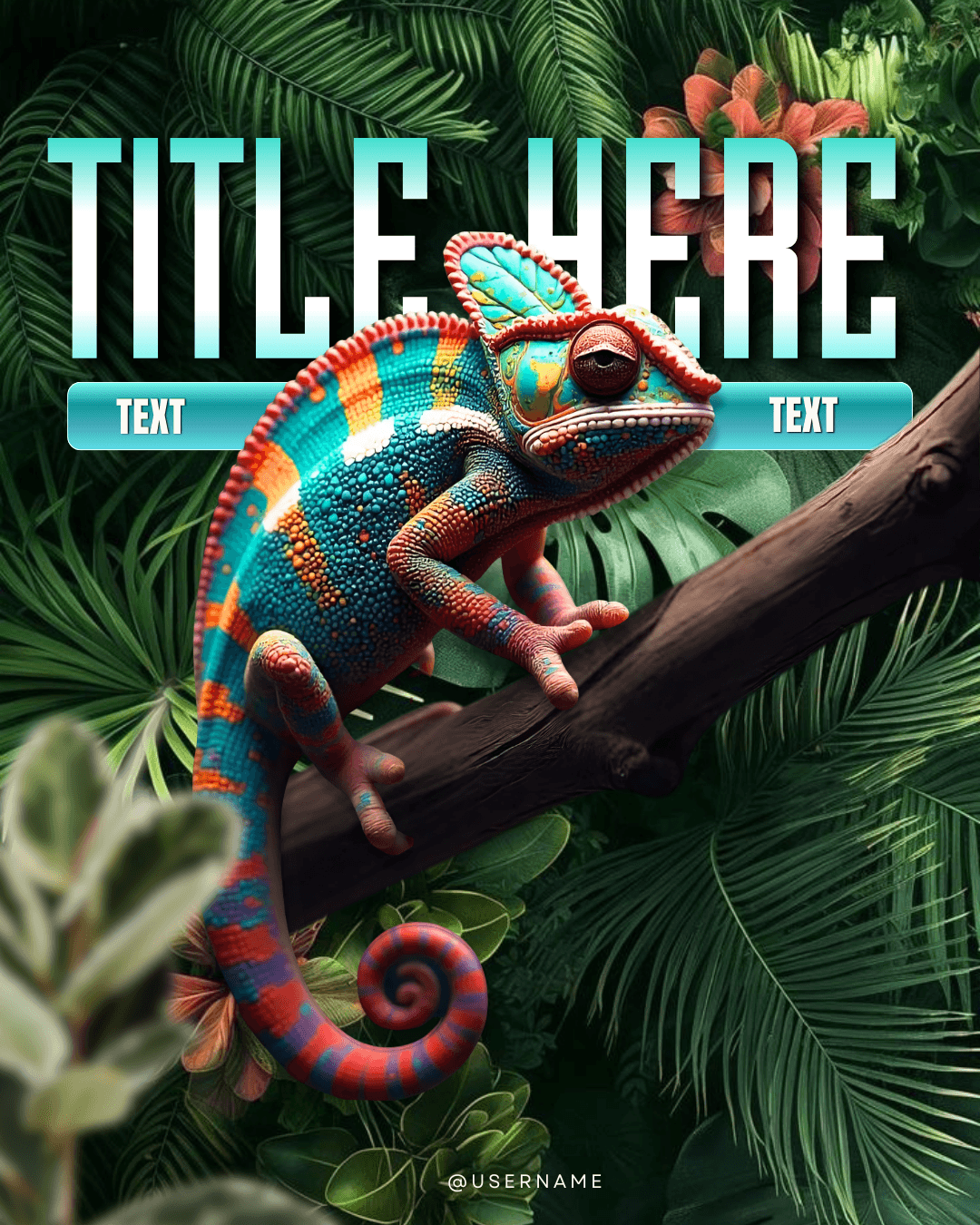 Book 7