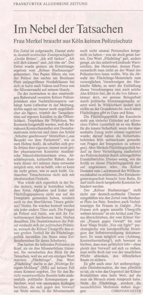 YOU CAN FIGHT in der Frankfurter Allgemeinen Zeitung