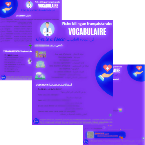 PACK 3 Fiches vocabulaire Français/Arabe 7€