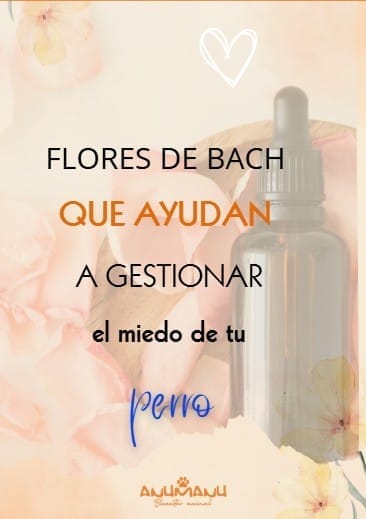 FLORES DE BACH PARA EL MIEDO DE TU PERRO