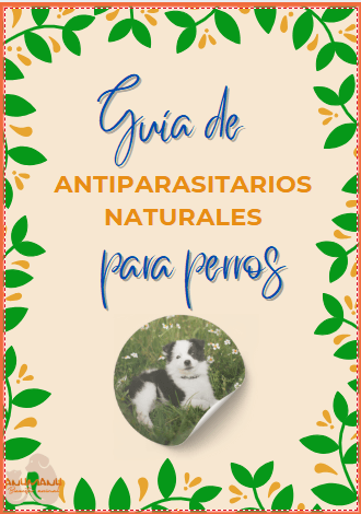 Guía antiparasitarios naturales para perros