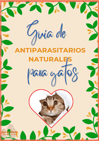 Guía antiparasitarios naturales gato
