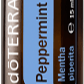Peppermint - Pfefferminz