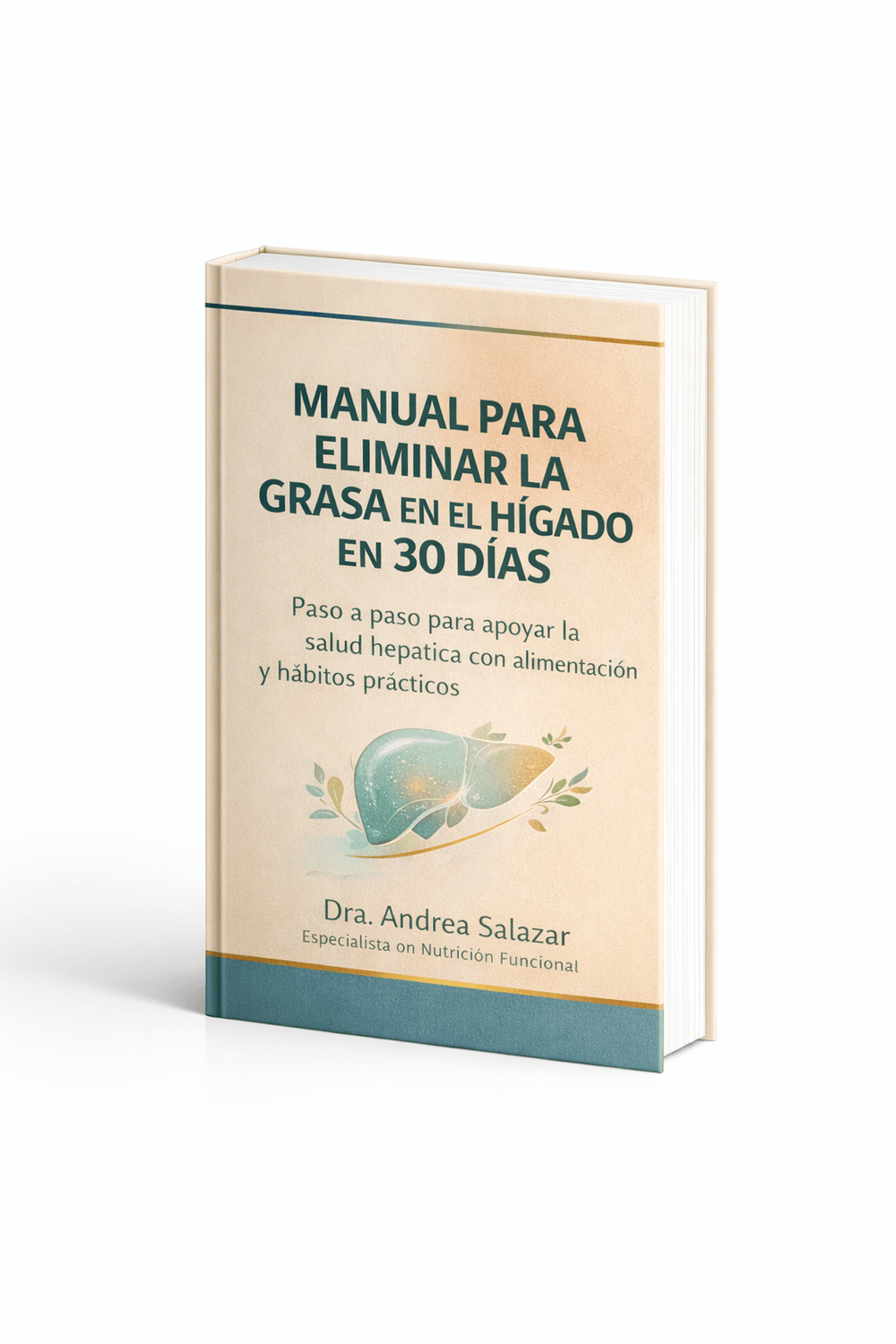 Manual