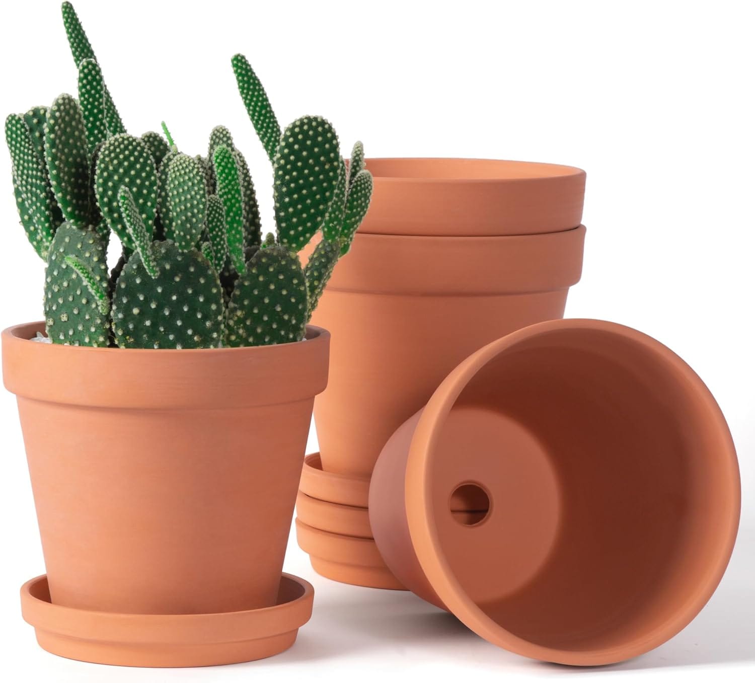 Terracotta Pots