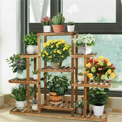 Plant Therapy Shelf