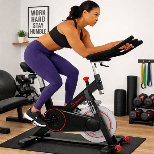 Sunny Health & Fitness SF-B1805 magnetic indoor cycling bike with 44lb flywheel for quiet apartment workouts
