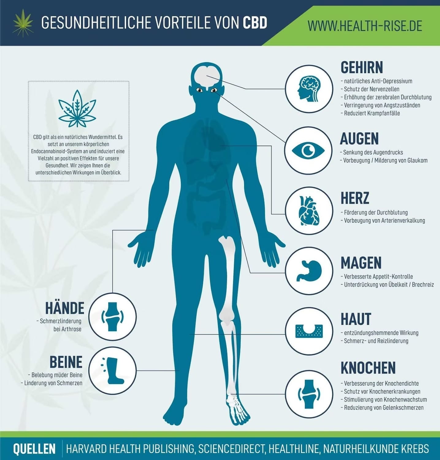 Infografik zu möglichen positiven Effekten von CBD auf Körper und Wohlbefinden