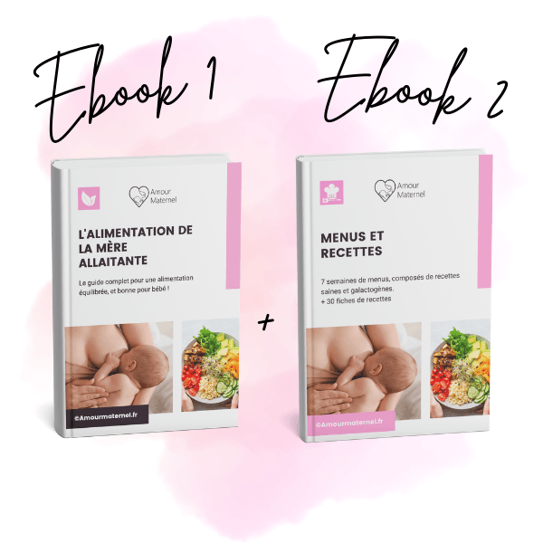 guide de l'allaitement maternel