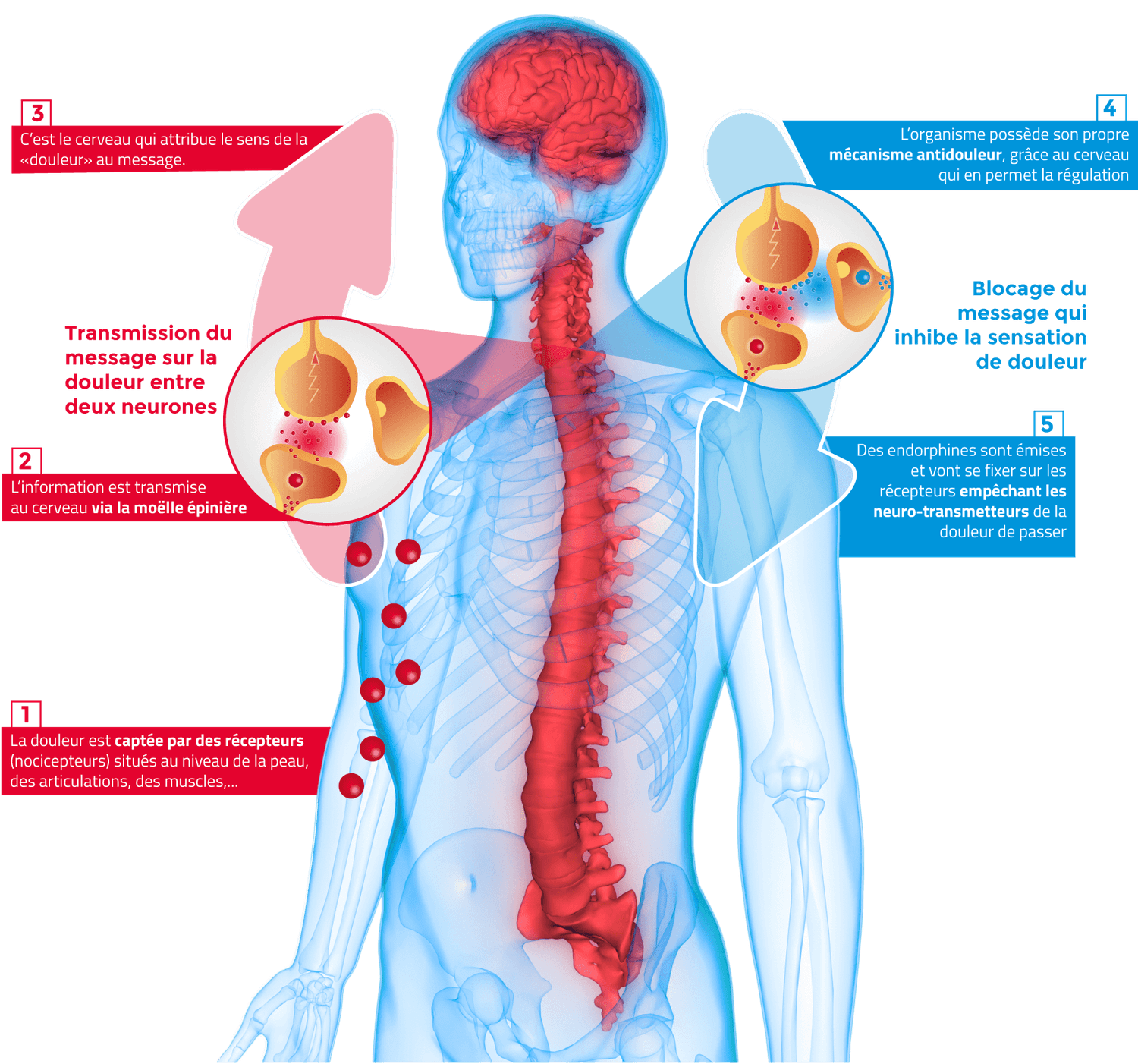 Message de la douleur