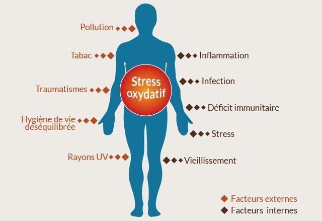 Douleurs fibromyalgiques et stress oxidatif