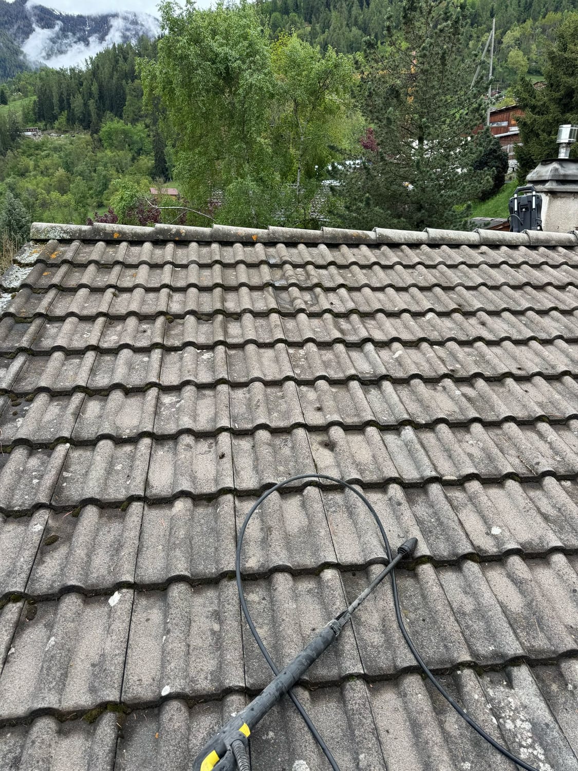 Toiture en tuiles envahie par la mousse et les lichens, avant nettoyage