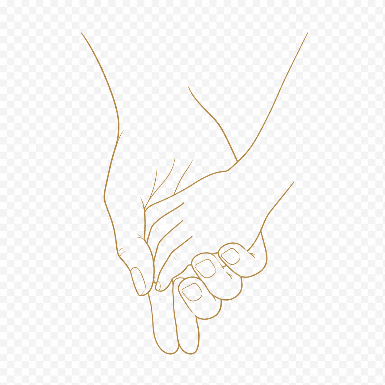 Adultos de confianza