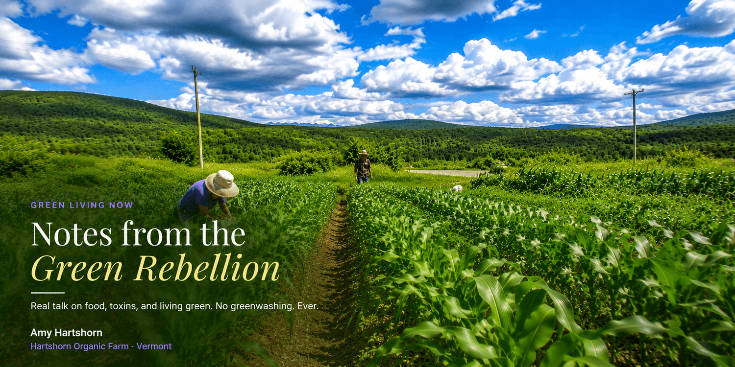 Notes from the Green Rebellion — green living insights from Amy Hartshorn of Green Living Now
