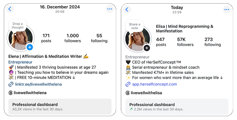 Instagram Growth Example